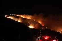 Пожар на одном из самых красивых островов Греции: огонь подошел к домам (фото)