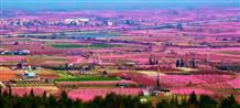Весна рисует магические картины в Греции (фото)